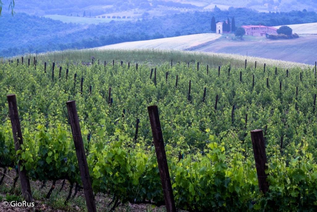 Agriturismo La Buca di Bellugi San Quirico dʼOrcia Exterior foto